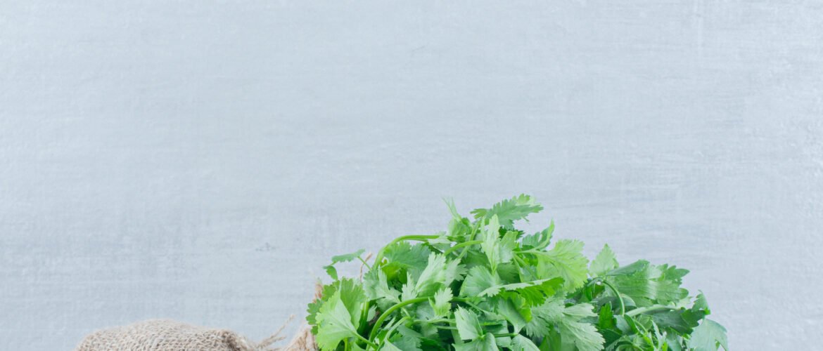 coriander-scaled.jpg
